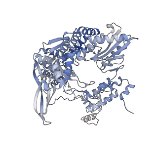 10355_6szv_B_v1-2
Bat Influenza A polymerase elongation complex with incoming UTP analogue (core + endonuclease only)