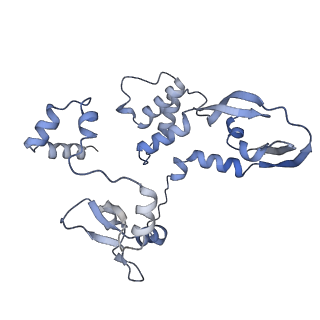 10355_6szv_C_v1-2
Bat Influenza A polymerase elongation complex with incoming UTP analogue (core + endonuclease only)