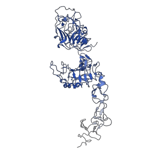 25558_7sz0_A_v1-0
Cryo-EM structure of the extracellular module of the full-length EGFR L834R bound to EGF. "tips-juxtaposed" conformation