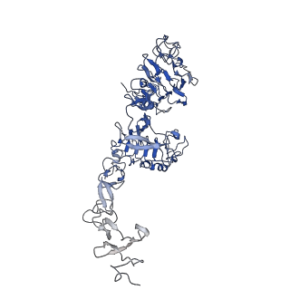 25558_7sz0_B_v1-0
Cryo-EM structure of the extracellular module of the full-length EGFR L834R bound to EGF. "tips-juxtaposed" conformation