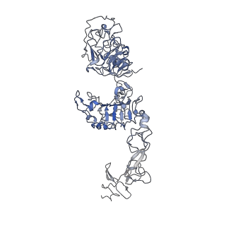 25559_7sz1_A_v1-0
Cryo-EM structure of the extracellular module of the full-length EGFR L834R bound to EGF. "tips-separated" conformation