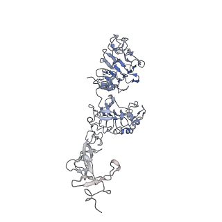 25559_7sz1_B_v1-0
Cryo-EM structure of the extracellular module of the full-length EGFR L834R bound to EGF. "tips-separated" conformation