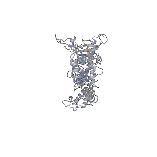 25560_7sz4_a_v1-0
Kinetically trapped Pseudomonas-phage PaP3 portal protein - delta barrel mutant class-2