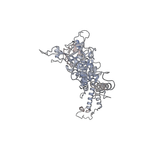 25560_7sz4_b_v1-0
Kinetically trapped Pseudomonas-phage PaP3 portal protein - delta barrel mutant class-2