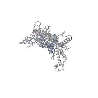 25560_7sz4_c_v1-0
Kinetically trapped Pseudomonas-phage PaP3 portal protein - delta barrel mutant class-2