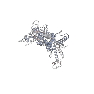 25560_7sz4_c_v1-1
Kinetically trapped Pseudomonas-phage PaP3 portal protein - delta barrel mutant class-2