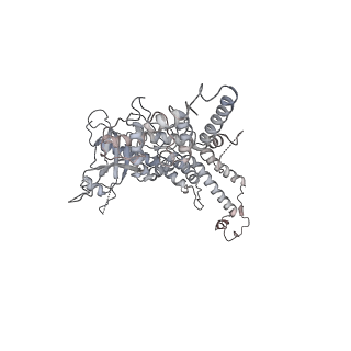 25560_7sz4_d_v1-0
Kinetically trapped Pseudomonas-phage PaP3 portal protein - delta barrel mutant class-2