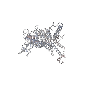 25560_7sz4_d_v1-1
Kinetically trapped Pseudomonas-phage PaP3 portal protein - delta barrel mutant class-2