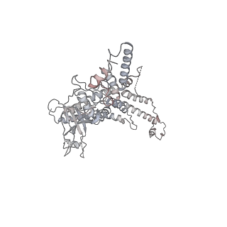 25560_7sz4_e_v1-0
Kinetically trapped Pseudomonas-phage PaP3 portal protein - delta barrel mutant class-2