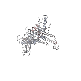 25560_7sz4_e_v1-1
Kinetically trapped Pseudomonas-phage PaP3 portal protein - delta barrel mutant class-2