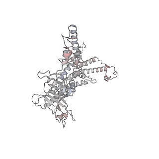 25560_7sz4_f_v1-0
Kinetically trapped Pseudomonas-phage PaP3 portal protein - delta barrel mutant class-2