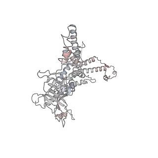 25560_7sz4_f_v1-1
Kinetically trapped Pseudomonas-phage PaP3 portal protein - delta barrel mutant class-2