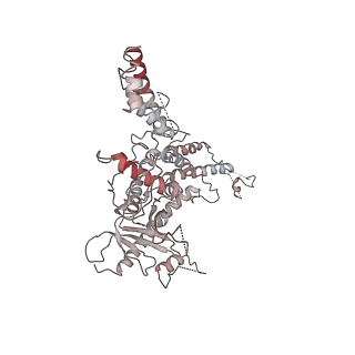 25560_7sz4_g_v1-0
Kinetically trapped Pseudomonas-phage PaP3 portal protein - delta barrel mutant class-2