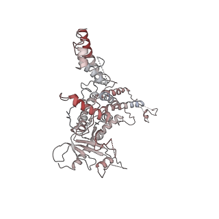 25560_7sz4_g_v1-1
Kinetically trapped Pseudomonas-phage PaP3 portal protein - delta barrel mutant class-2