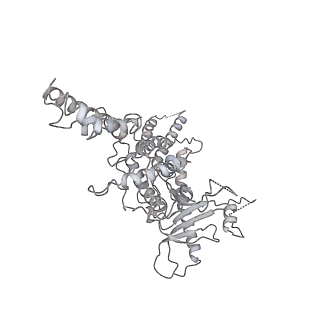 25560_7sz4_h_v1-0
Kinetically trapped Pseudomonas-phage PaP3 portal protein - delta barrel mutant class-2