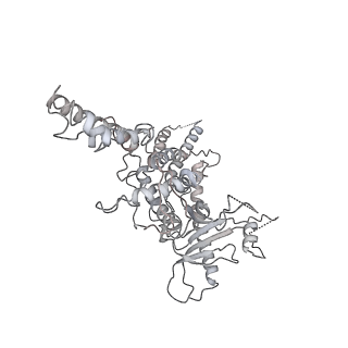 25560_7sz4_h_v1-1
Kinetically trapped Pseudomonas-phage PaP3 portal protein - delta barrel mutant class-2