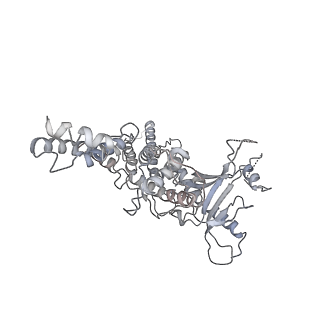 25560_7sz4_i_v1-0
Kinetically trapped Pseudomonas-phage PaP3 portal protein - delta barrel mutant class-2