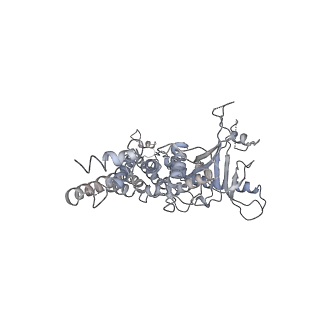 25560_7sz4_j_v1-0
Kinetically trapped Pseudomonas-phage PaP3 portal protein - delta barrel mutant class-2