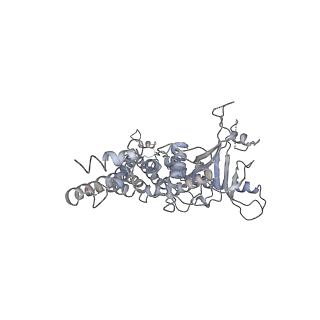 25560_7sz4_j_v1-1
Kinetically trapped Pseudomonas-phage PaP3 portal protein - delta barrel mutant class-2