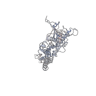 25560_7sz4_l_v1-0
Kinetically trapped Pseudomonas-phage PaP3 portal protein - delta barrel mutant class-2