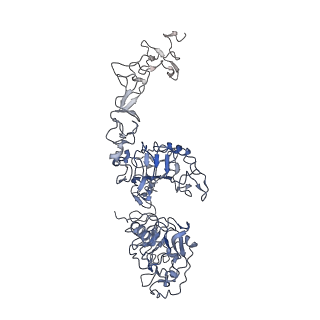 25561_7sz5_A_v1-0
Cryo-EM structure of the extracellular module of the full-length EGFR bound to TGF-alpha "tips-separated" conformation