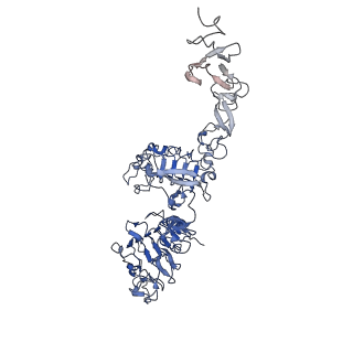 25563_7sz7_B_v1-0
Cryo-EM structure of the extracellular module of the full-length EGFR bound to TGF-alpha. "tips-juxtaposed" conformation