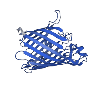 25567_7szi_B_v1-2
Cryo-EM structure of OmpK36-TraN mating pair stabilization proteins from carbapenem-resistant Klebsiella pneumoniae