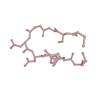 25567_7szi_D_v1-2
Cryo-EM structure of OmpK36-TraN mating pair stabilization proteins from carbapenem-resistant Klebsiella pneumoniae