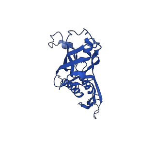 25570_7szj_A_v1-1
Cryo-EM structure of Rifamycin bound to E. coli RNAP and rrnBP1 promoter complex