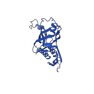 25570_7szj_A_v1-2
Cryo-EM structure of Rifamycin bound to E. coli RNAP and rrnBP1 promoter complex