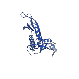 25570_7szj_B_v1-1
Cryo-EM structure of Rifamycin bound to E. coli RNAP and rrnBP1 promoter complex