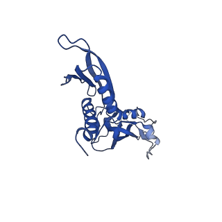 25570_7szj_B_v1-2
Cryo-EM structure of Rifamycin bound to E. coli RNAP and rrnBP1 promoter complex