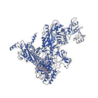 25570_7szj_C_v1-1
Cryo-EM structure of Rifamycin bound to E. coli RNAP and rrnBP1 promoter complex