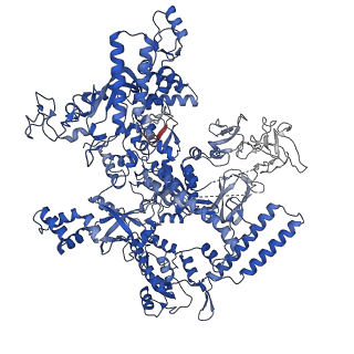 25570_7szj_D_v1-1
Cryo-EM structure of Rifamycin bound to E. coli RNAP and rrnBP1 promoter complex