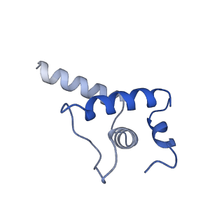 25570_7szj_E_v1-1
Cryo-EM structure of Rifamycin bound to E. coli RNAP and rrnBP1 promoter complex