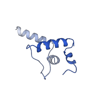 25570_7szj_E_v1-2
Cryo-EM structure of Rifamycin bound to E. coli RNAP and rrnBP1 promoter complex