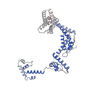 25570_7szj_F_v1-2
Cryo-EM structure of Rifamycin bound to E. coli RNAP and rrnBP1 promoter complex