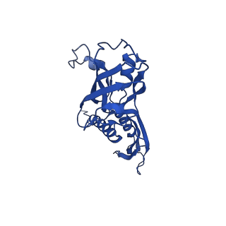 25571_7szk_A_v1-1
Cryo-EM structure of 27a bound to E. coli RNAP and rrnBP1 promoter complex