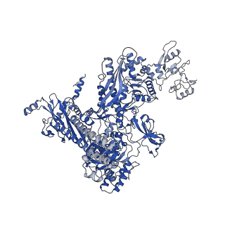 25571_7szk_C_v1-1
Cryo-EM structure of 27a bound to E. coli RNAP and rrnBP1 promoter complex