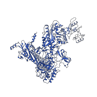 25571_7szk_C_v1-2
Cryo-EM structure of 27a bound to E. coli RNAP and rrnBP1 promoter complex