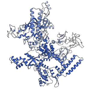 25571_7szk_D_v1-1
Cryo-EM structure of 27a bound to E. coli RNAP and rrnBP1 promoter complex