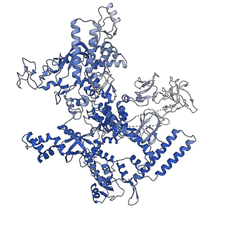 25571_7szk_D_v1-2
Cryo-EM structure of 27a bound to E. coli RNAP and rrnBP1 promoter complex