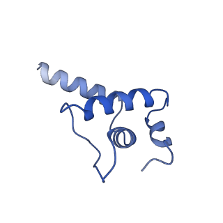 25571_7szk_E_v1-2
Cryo-EM structure of 27a bound to E. coli RNAP and rrnBP1 promoter complex