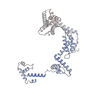 25571_7szk_F_v1-1
Cryo-EM structure of 27a bound to E. coli RNAP and rrnBP1 promoter complex