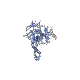 40908_8szc_D_v1-1
Heterodimeric ABC transporter BmrCD in the inward-facing conformation bound to substrate and ATP: BmrCD_IF-1HT/ATP
