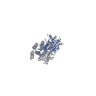 40914_8szf_A_v1-2
Cryo-EM structure of cinacalcet-bound active-state human calcium-sensing receptor CaSR in lipid nanodiscs