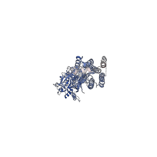 40914_8szf_B_v1-2
Cryo-EM structure of cinacalcet-bound active-state human calcium-sensing receptor CaSR in lipid nanodiscs