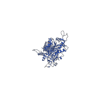 40915_8szg_A_v1-2
Cryo-EM structure of cinacalcet-bound human calcium-sensing receptor CaSR-Gq complex in lipid nanodiscs