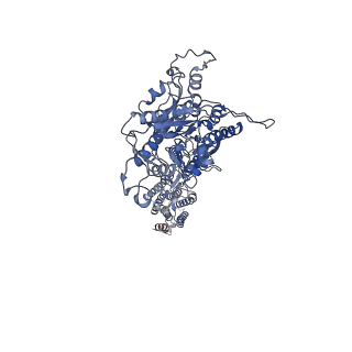 40915_8szg_B_v1-2
Cryo-EM structure of cinacalcet-bound human calcium-sensing receptor CaSR-Gq complex in lipid nanodiscs