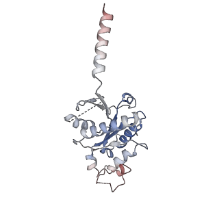 40915_8szg_C_v1-2
Cryo-EM structure of cinacalcet-bound human calcium-sensing receptor CaSR-Gq complex in lipid nanodiscs